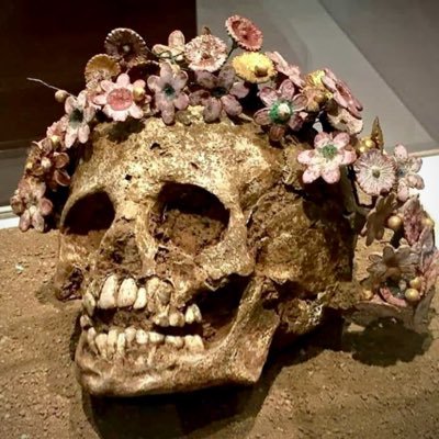 Bones's profile picture