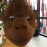 Ali's profile picture