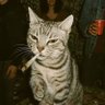 Profilbild von cali