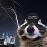 Profilbild von coon