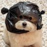 รss Arr ๎จ's profile picture