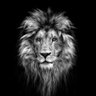 RKT's profile picture