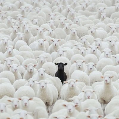 BribW's profile picture