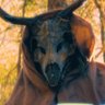 Фото профиля Jacob Viness