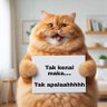 Jbaltwt🦁⟬⟭ 的头像