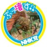 ねこうさぎ【NHK党立花さん応援】's profile picture