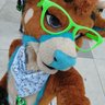 Profilbild von Deer🦌 Cake 🎂 @MFF @FC @SCOTIA