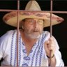 Gene Parmesan's profile picture