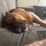 Timmy profil fotoğrafı
