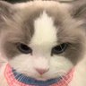 Jack W's profile picture