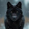 BlackWolf05 profil fotoğrafı