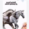 سعود 🇴🇲 的头像