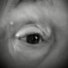 Profilbild von HOCH