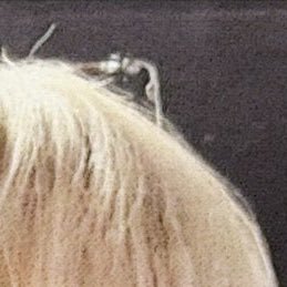 룽⋆'s profile picture