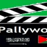 Фото профиля palywood 3