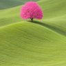 Nature Lover 的头像