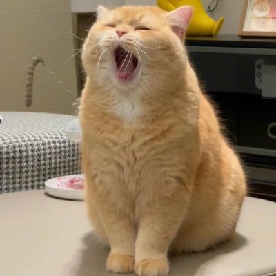 Suanguodong's profile picture