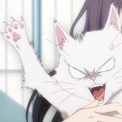 Animefan_Cat's profile picture