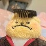 Profilbild von 仓鼠君