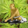 Mahatma Ganja's profile picture