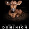 Фото профиля watchdominionorg an3xorg