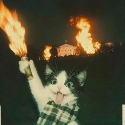 trash_panda97's profile picture