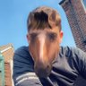 Zap's profile picture