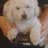 itallian_Stallion's profile picture
