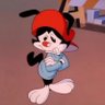 WAKKO 的头像