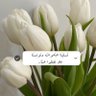 90NRH profil fotoğrafı