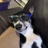 Marty's profile picture