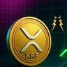 MRBiggyXRP 的头像