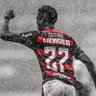Vítor Pires's profile picture