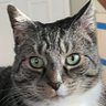 Profilbild von CatAsTrophy