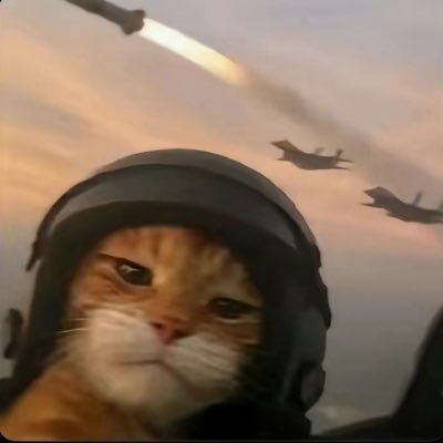 Crazy's profile picture