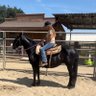 TheWildWest's profile picture