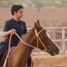 Mohammed Al Shehry's profile picture