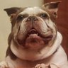 Фото профиля Nate