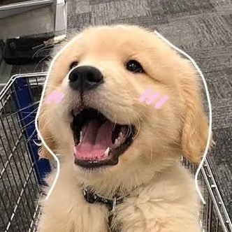 ♡‧⁺𝙈𝙞𝙣𝙙 𝙈𝙞𝙣𝙚🐶⁺'s profile picture