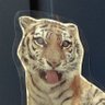 くま profil fotoğrafı