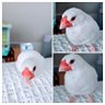 HANAMITSU profil fotoğrafı