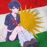 Profilbild von ❤️🌞💚KURDISTAN𓃵🐦🔥