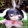 Profilbild von tio meme
