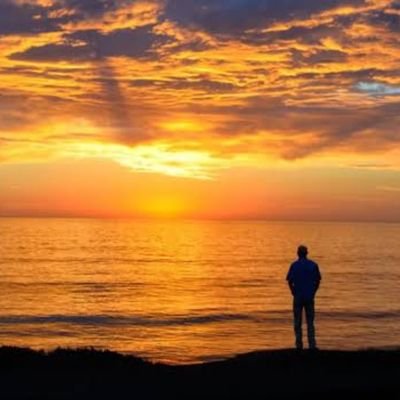 Celotehsenja's profile picture