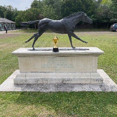 Dash Grange Stud's profile picture