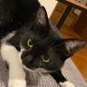 あらかな profil fotoğrafı