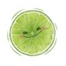 Profilbild von Limon_Dulce