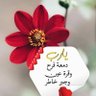 رباب profil fotoğrafı