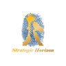 Profilbild von Strategic Horizon