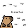 Profilbild von Yap